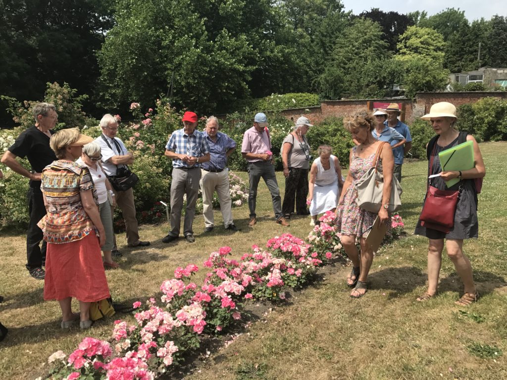 La rentrée 2017 et la Rose...