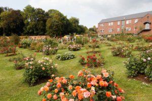 57e édition du Royal Concours International de Roses Nouvelles à huis clos