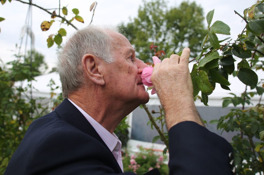 En route vers la découverte des parfums de la rose