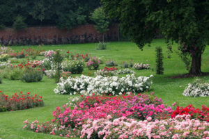 Programme du week-end du Concours de Roses Nouvelles du Roeulx 2018