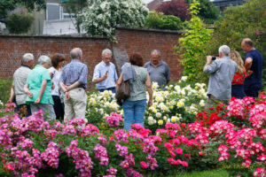 Photos de la visite guidée "Les secrets de beauté de la Roseraie de Saint-Jacques"