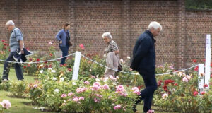 Reportage ACTV - "Le Roeulx : la rose à l’honneur"