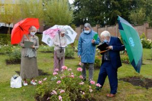 Photos du 57e Concours International de Roses Nouvelles du Roeulx - 2020 (huis clos)