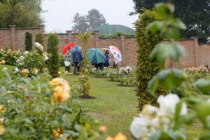 Une édition à huis clos du 57ème Royal Concours International de Roses Nouvelles