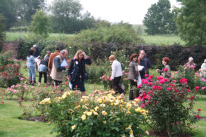 Photos du 47e Concours International de Roses Nouvelles du Roeulx