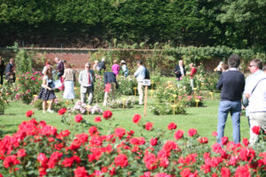 Photos du 49e Concours International de Roses Nouvelles du Roeulx