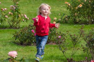 Photos du 51e Concours International de Roses Nouvelles du Roeulx