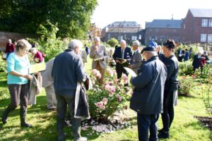 Photos du 52e Concours International de Roses Nouvelles du Roeulx