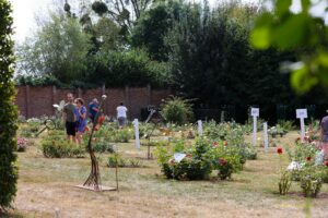 Photos du 59e Concours International de Roses Nouvelles du Roeulx