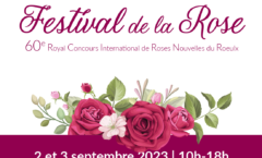 De nombreuses activités pour petits et grands durant tout le week-end du Festival