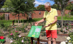Nouveauté dans le Théâtre des Roses : identification des roses via QR codes