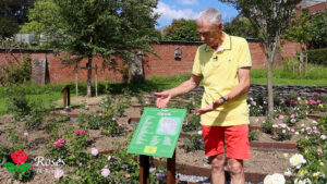 Nouveauté dans le Théâtre des Roses : identification des roses via QR codes