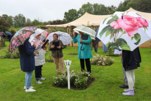 Photos du 60e Concours International de Roses Nouvelles du Roeulx