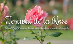 Aftermovie Festival de la Rose 2023
