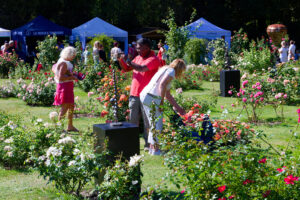 Photos du Festival de la Rose 2025