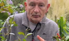 Les Roses du Roeulx inspirent Francis Peeters (RTBF)