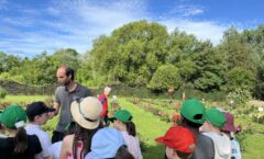 Visites et ateliers créatifs aux Jardins des Roses