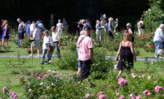 Photos du Festival de la Rose 2026