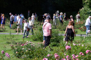 Photos du Festival de la Rose 2026